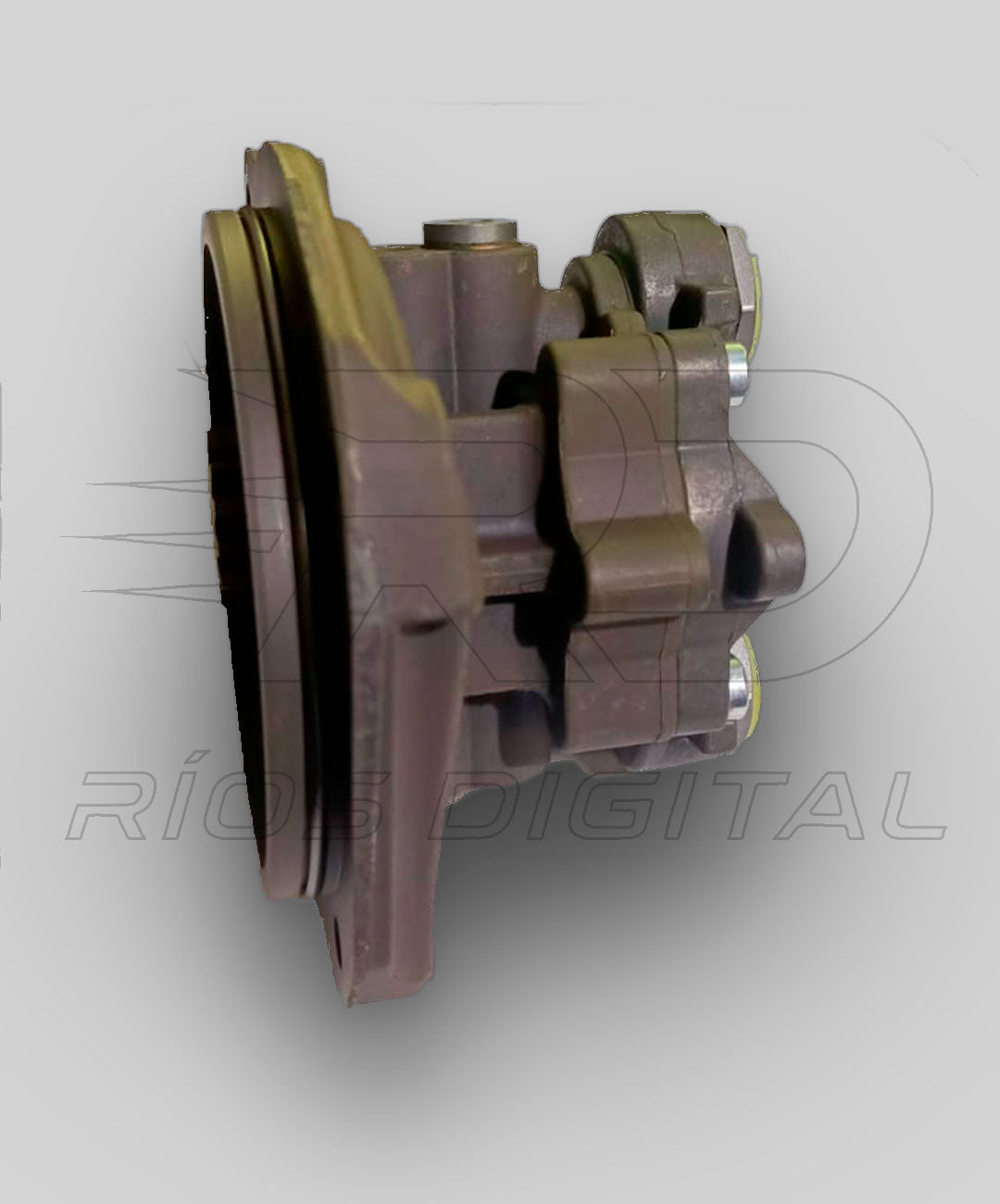 Bomba Transferencia/Engranajes Bosch 0440020028 FP/ZP5V/R1S | 0 440 020 028 | Nueva
