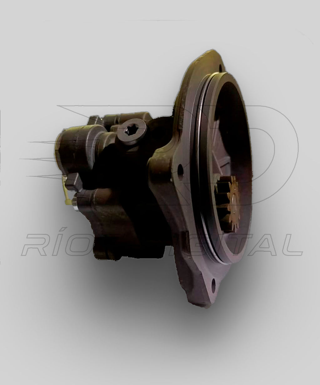 Bomba Transferencia/Engranajes Bosch 0440020028 FP/ZP5V/R1S | 0 440 020 028 | Nueva